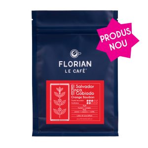 EL SALVADOR EL GOBIADO